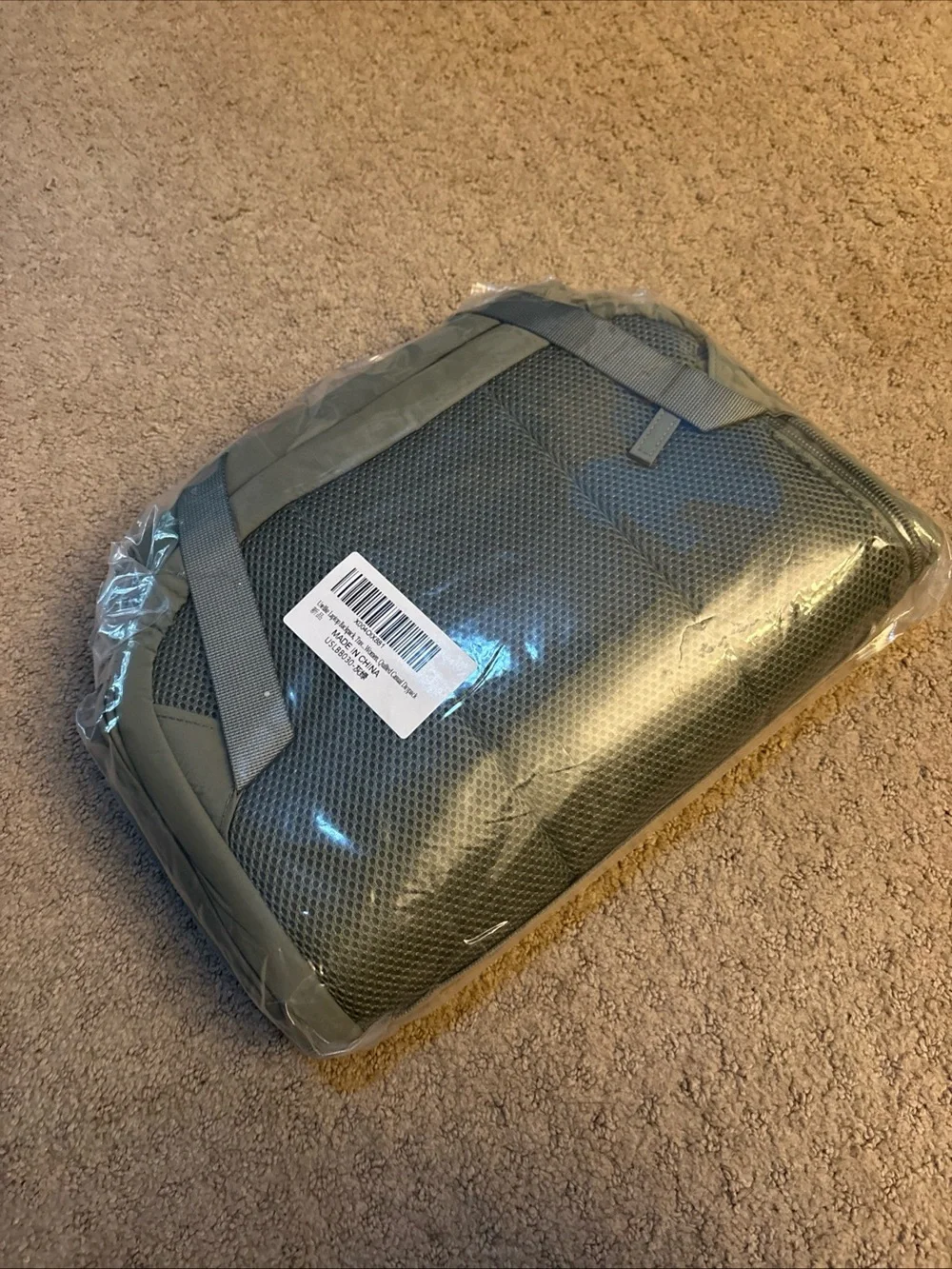 Sage Green Lightweight Everyday Backpack